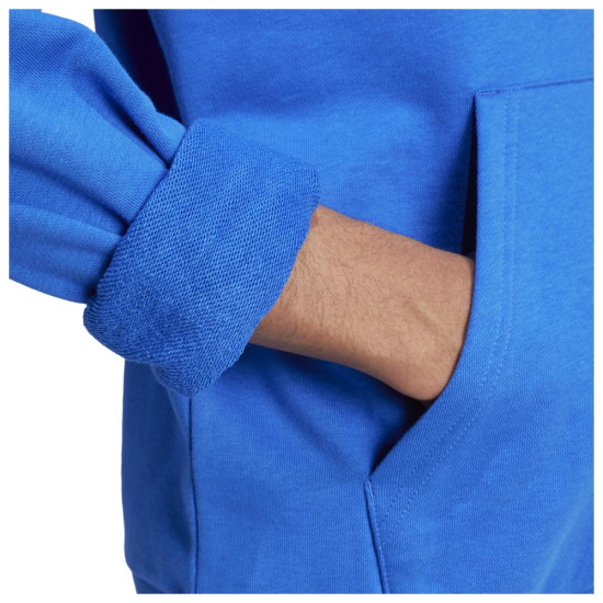 Adidas Ανδρικό φούτερ Graphic Hoodie